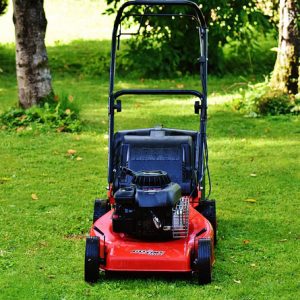 Lawn & Garden